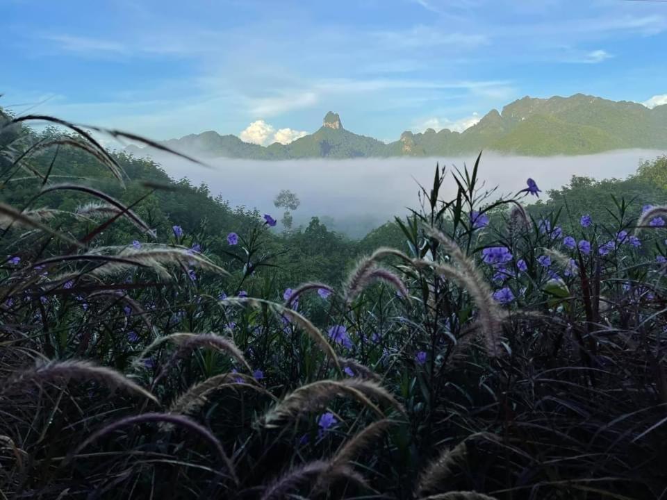 Por Sampao Camp&Resort Ban Pha Saeng Lang Exteriér fotografie